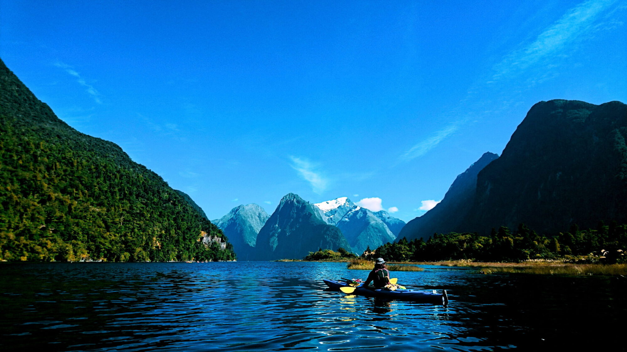 Kayaking Milford Sound