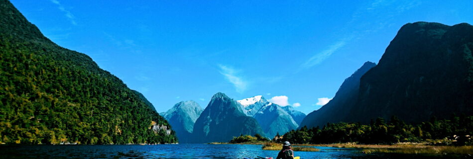 Kayaking Milford Sound