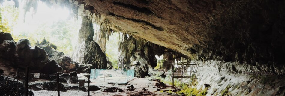 Gua Niah National Park