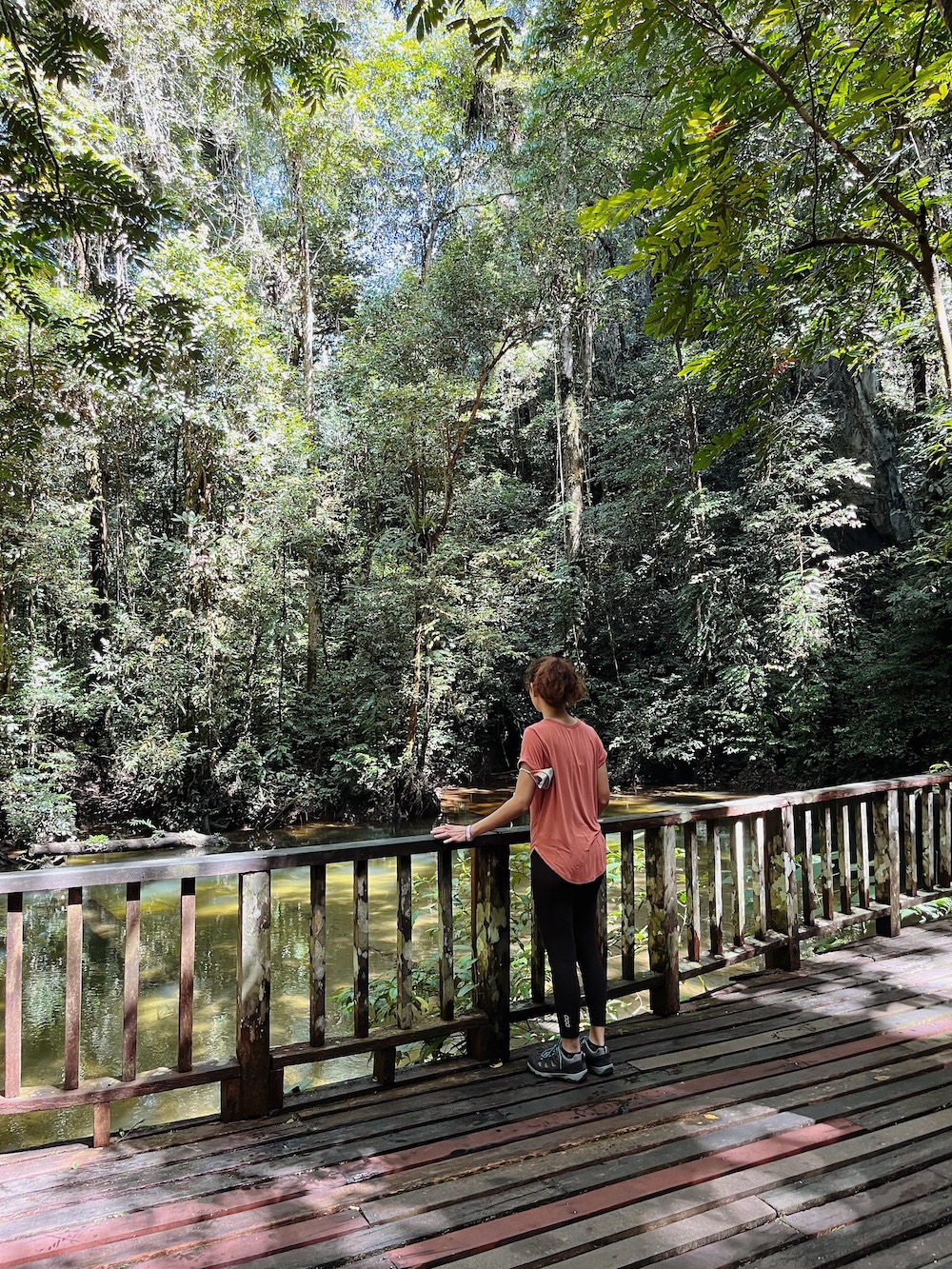 Clearwater Cave, Mulu Sarawak
