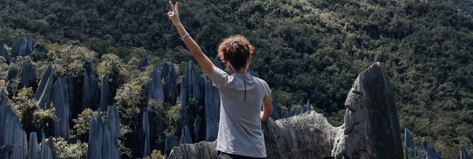 The Pinnacles, Mulu National Park