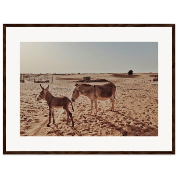 Arabian Wild Abu Dhabi Framed Travel Print