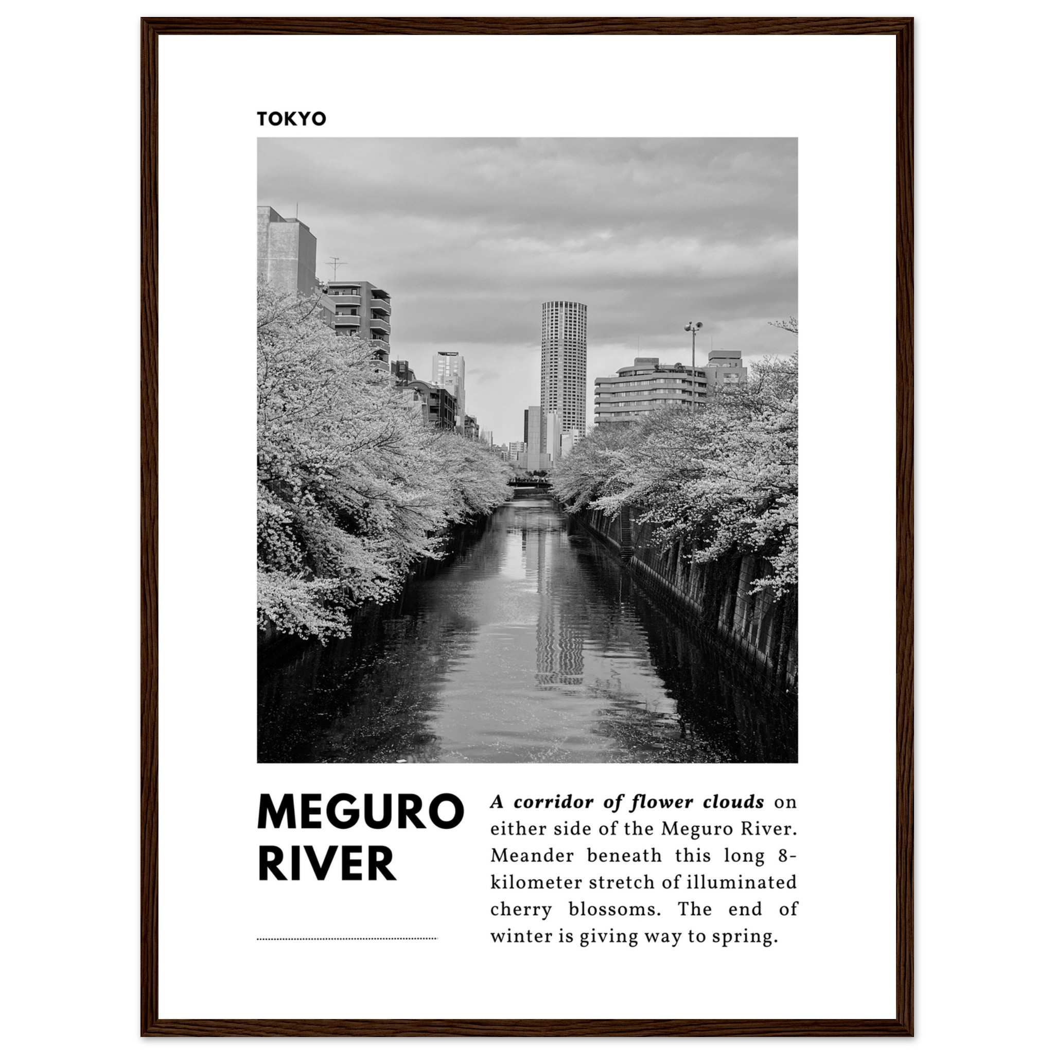 Tokyo Black & White Travel Print No 3