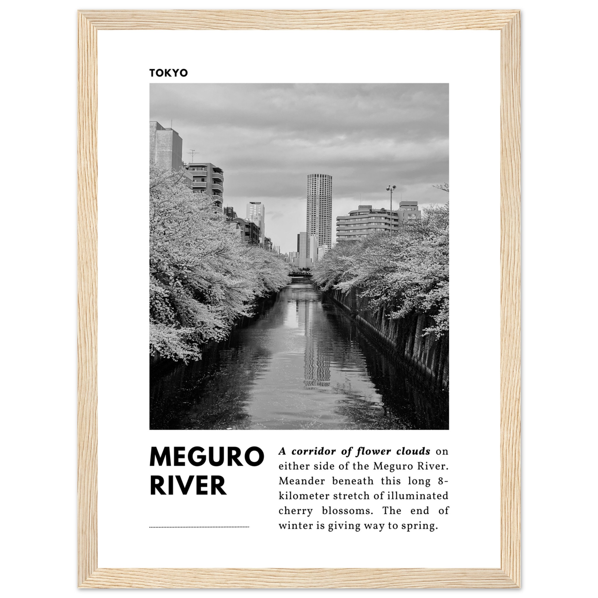 Tokyo Black & White Travel Print No 3