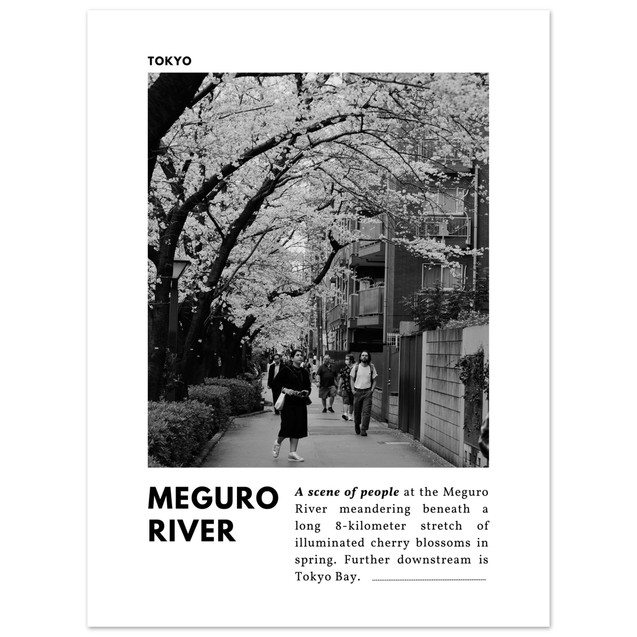 Tokyo black and white travel print