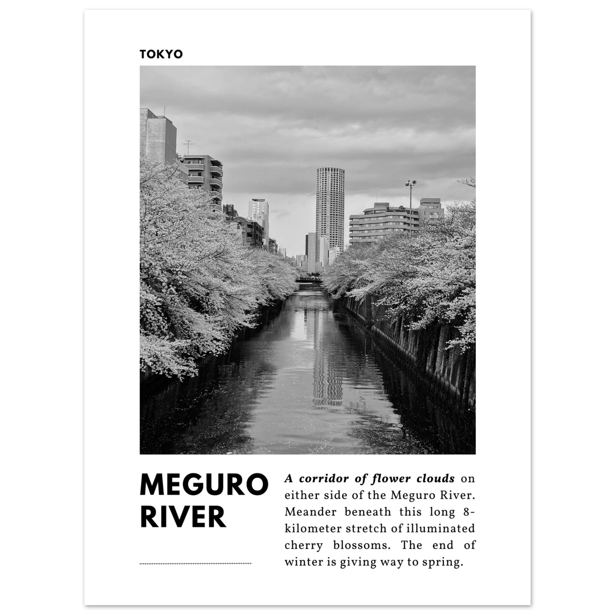 Tokyo Black & White Travel Print No 3