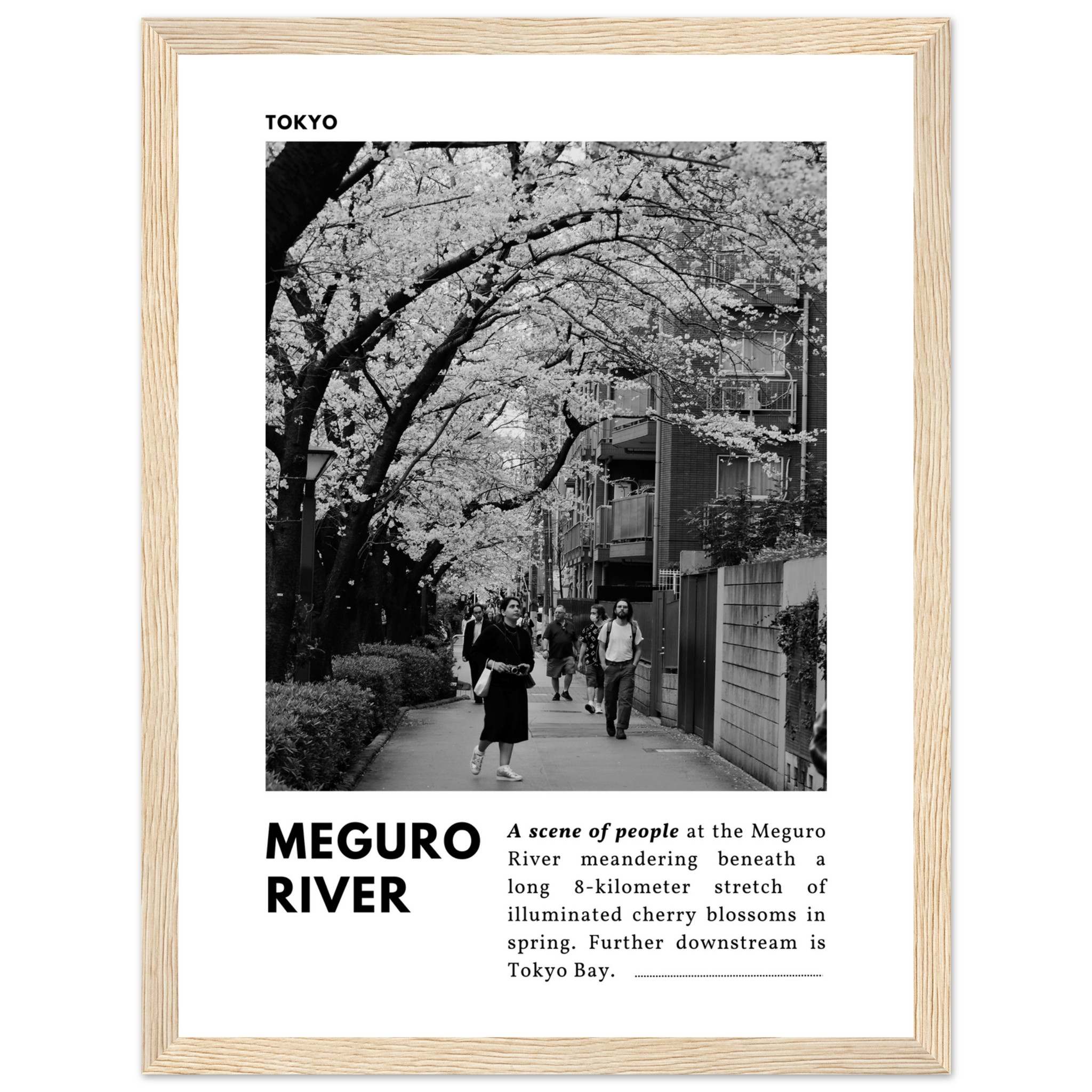 Tokyo black and white framed travel print