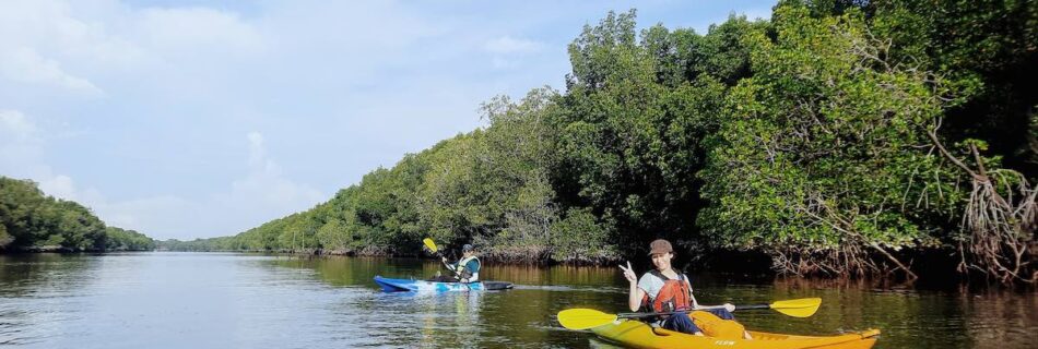 Mangrove kayaking at Sepang River