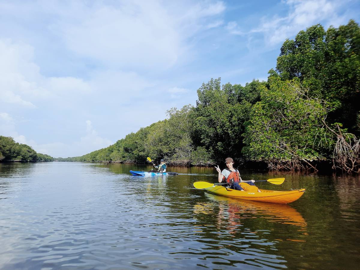 Mangrove kayaking at Sepang River