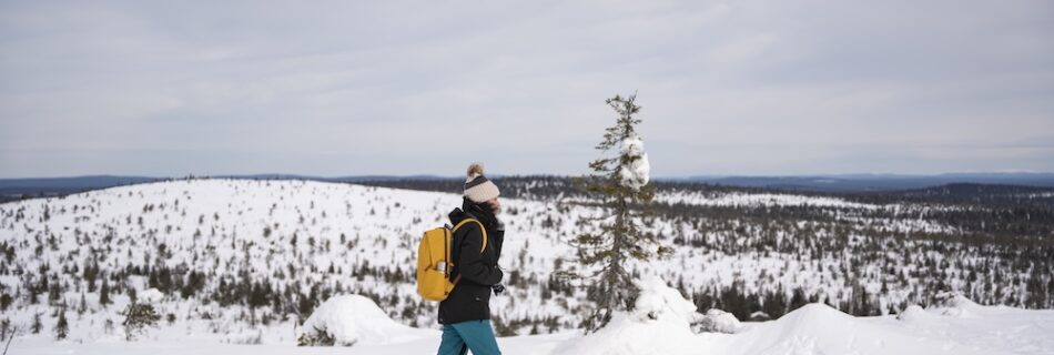 Winter hiking in the Finnish Lapland Riisitunturi National Park
