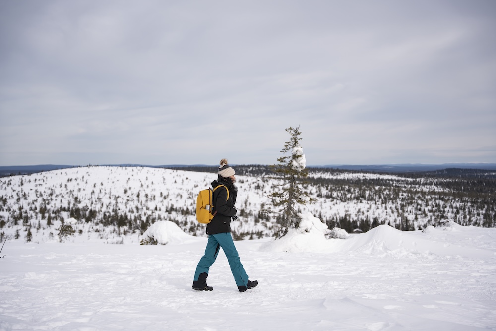 Winter hiking in the Finnish Lapland Riisitunturi National Park