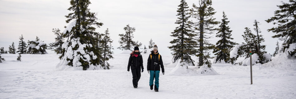 Riisitunturi National Park