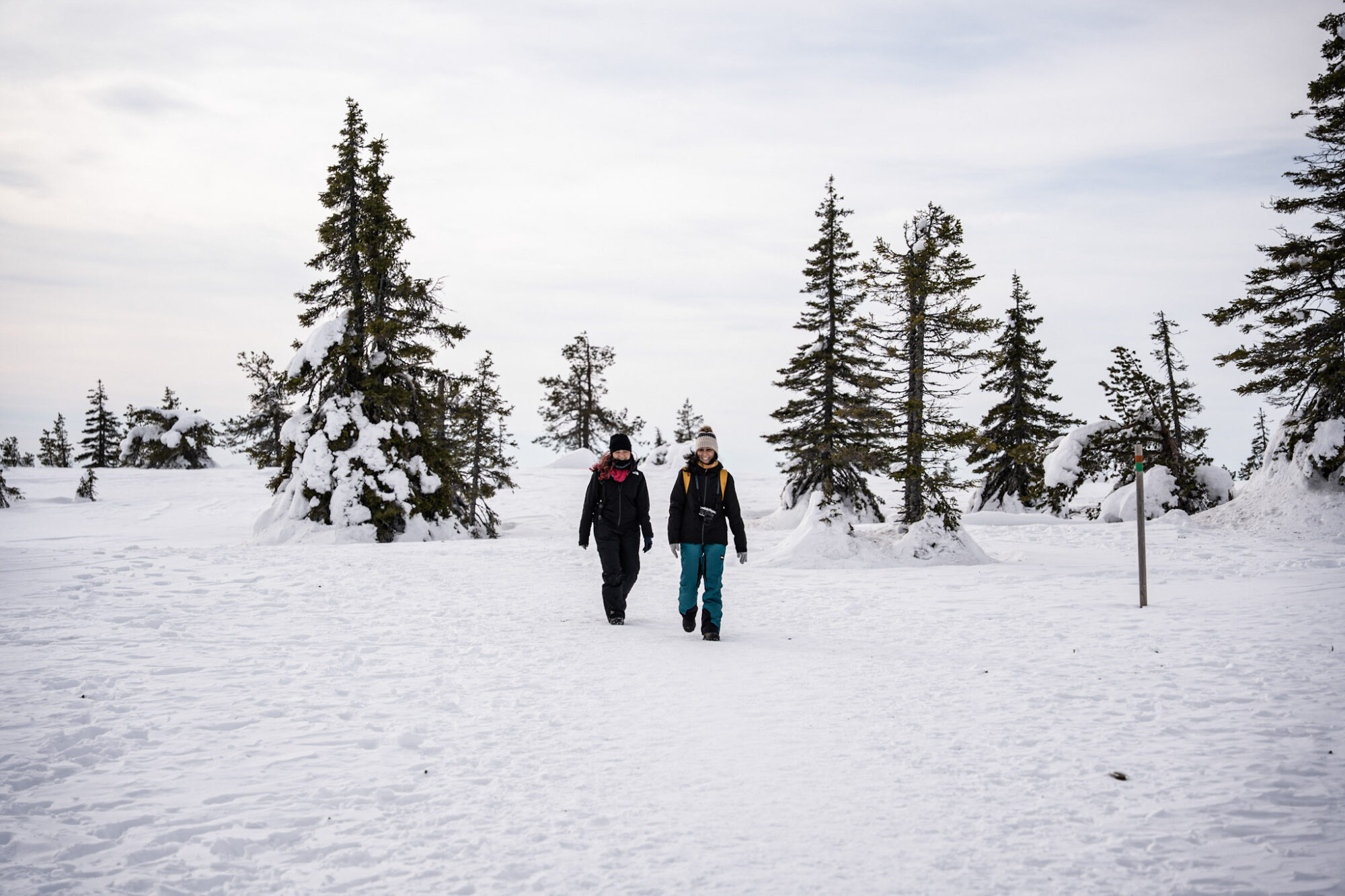 Walking up the fell in Riisitunturi